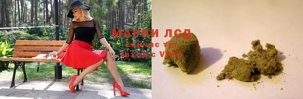 сатива Заволжск