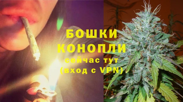 ECSTASY Ельня
