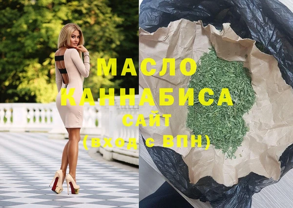 ECSTASY Ельня