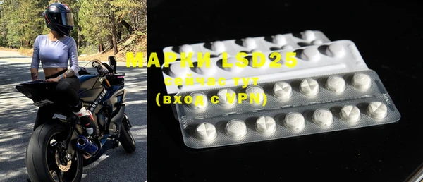ECSTASY Ельня