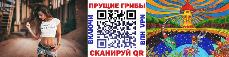 Галлюциногенные грибы мухоморы  дарк нет как зайти  Короча  наркошоп 